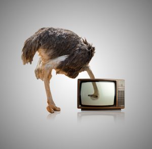 Ostrich Looking Through Television On Gray Background